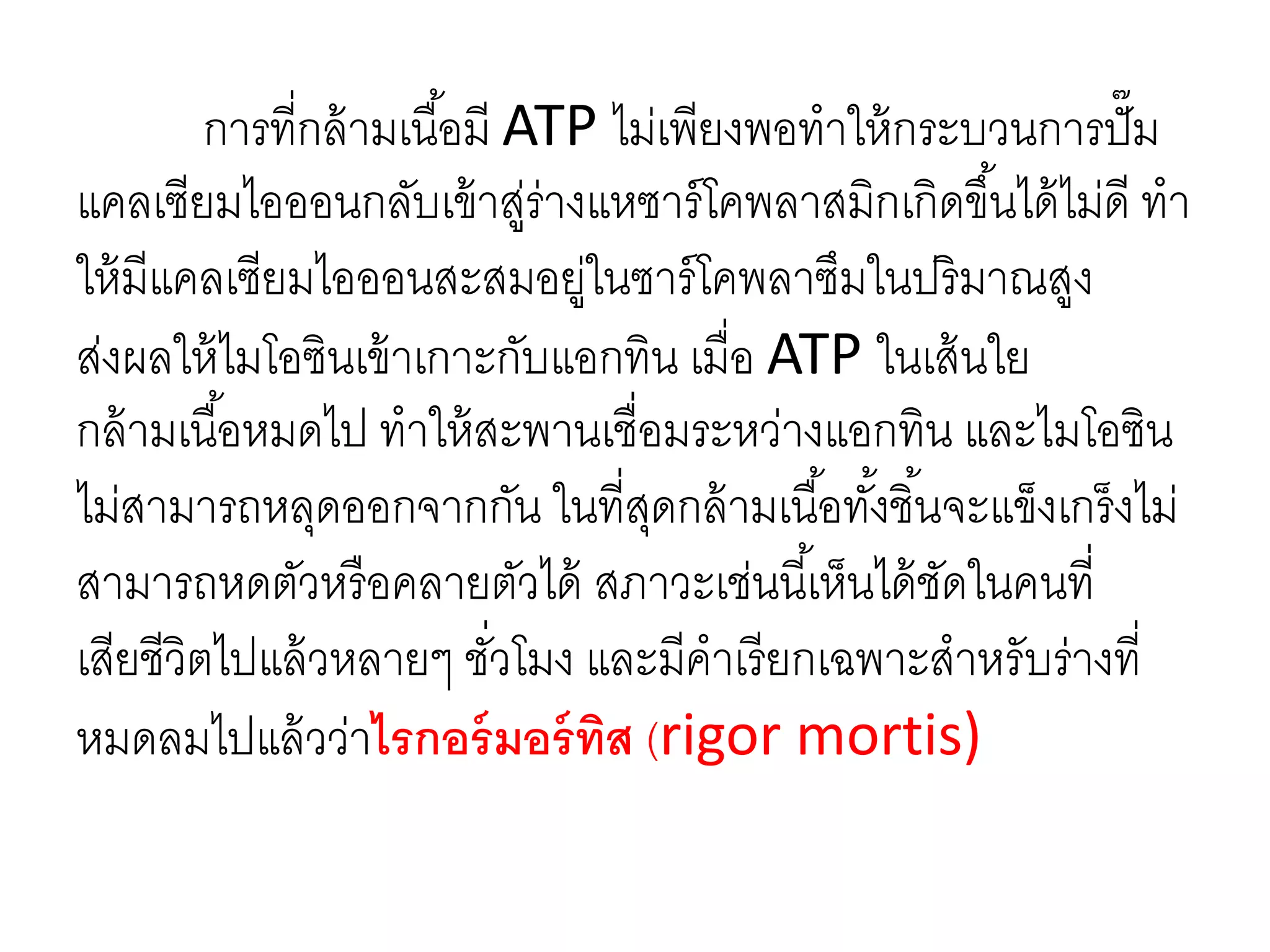 การที่กล้ามเนื้อมี ATP ไม่เพียงพอทาให้กระบวนการปั๊ม
แคลเซียมไอออนกลับเข้าสู่ร่างแหซาร์โคพลาสมิกเกิดขึ้นได้ไม่ดี ทา
ให้มีแคลเซียมไอออนสะสมอยู่ในซาร์โคพลาซึมในปริมาณสูง
ส่งผลให้ไมโอซินเข้าเกาะกับแอกทิน เมื่อ ATP ในเส้นใย
กล้ามเนื้อหมดไป ทาให้สะพานเชื่อมระหว่างแอกทิน และไมโอซิน
ไม่สามารถหลุดออกจากกัน ในที่สุดกล้ามเนื้อทั้งชิ้นจะแข็งเกร็งไม่
สามารถหดตัวหรือคลายตัวได้ สภาวะเช่นนี้เห็นได้ชัดในคนที่
เสียชีวิตไปแล้วหลายๆ ชั่วโมง และมีคาเรียกเฉพาะสาหรับร่างที่
หมดลมไปแล้วว่าไรกอร์มอร์ทิส (rigor mortis)
 