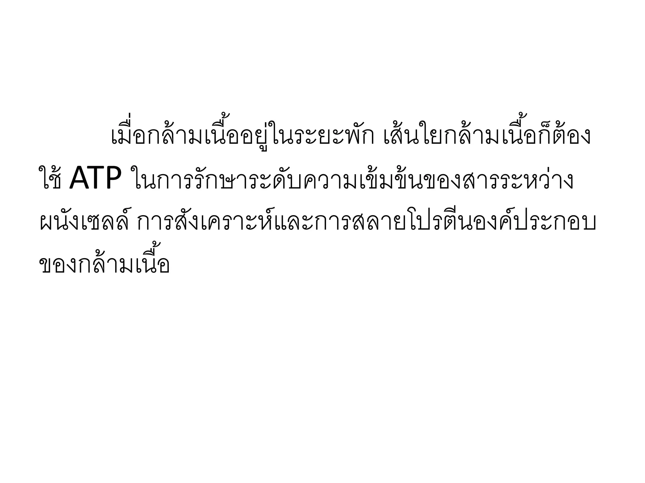 เมื่อกล้ามเนื้ออยู่ในระยะพัก เส้นใยกล้ามเนื้อก็ต้อง
ใช้ ATP ในการรักษาระดับความเข้มข้นของสารระหว่าง
ผนังเซลล์ การสังเคราะห์และการสลายโปรตีนองค์ประกอบ
ของกล้ามเนื้อ
 