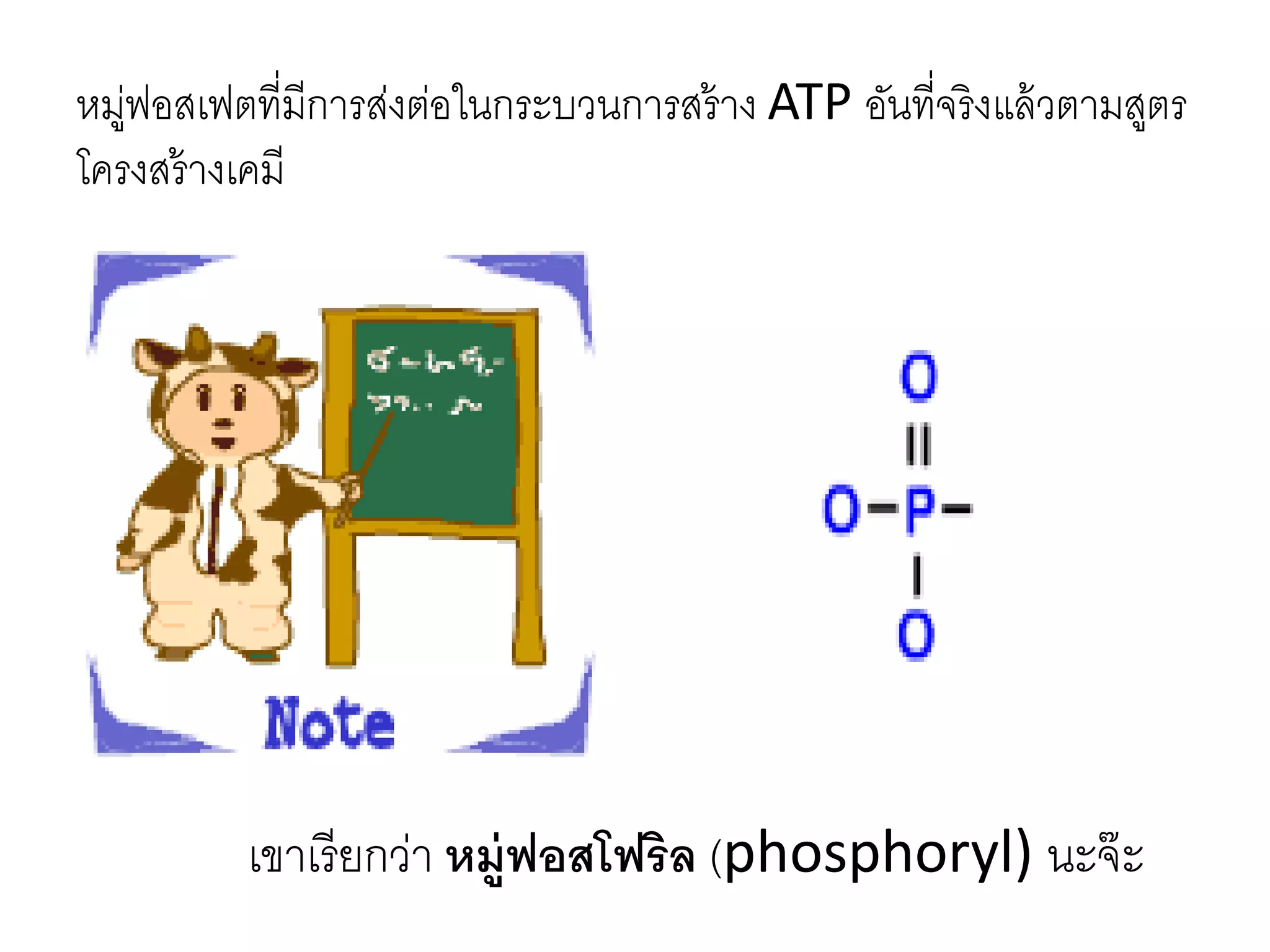 หมู่ฟอสเฟตที่มีการส่งต่อในกระบวนการสร้าง ATP อันที่จริงแล้วตามสูตร
โครงสร้างเคมี
เขาเรียกว่า หมู่ฟอสโฟริล (phosphoryl) นะจ๊ะ
 