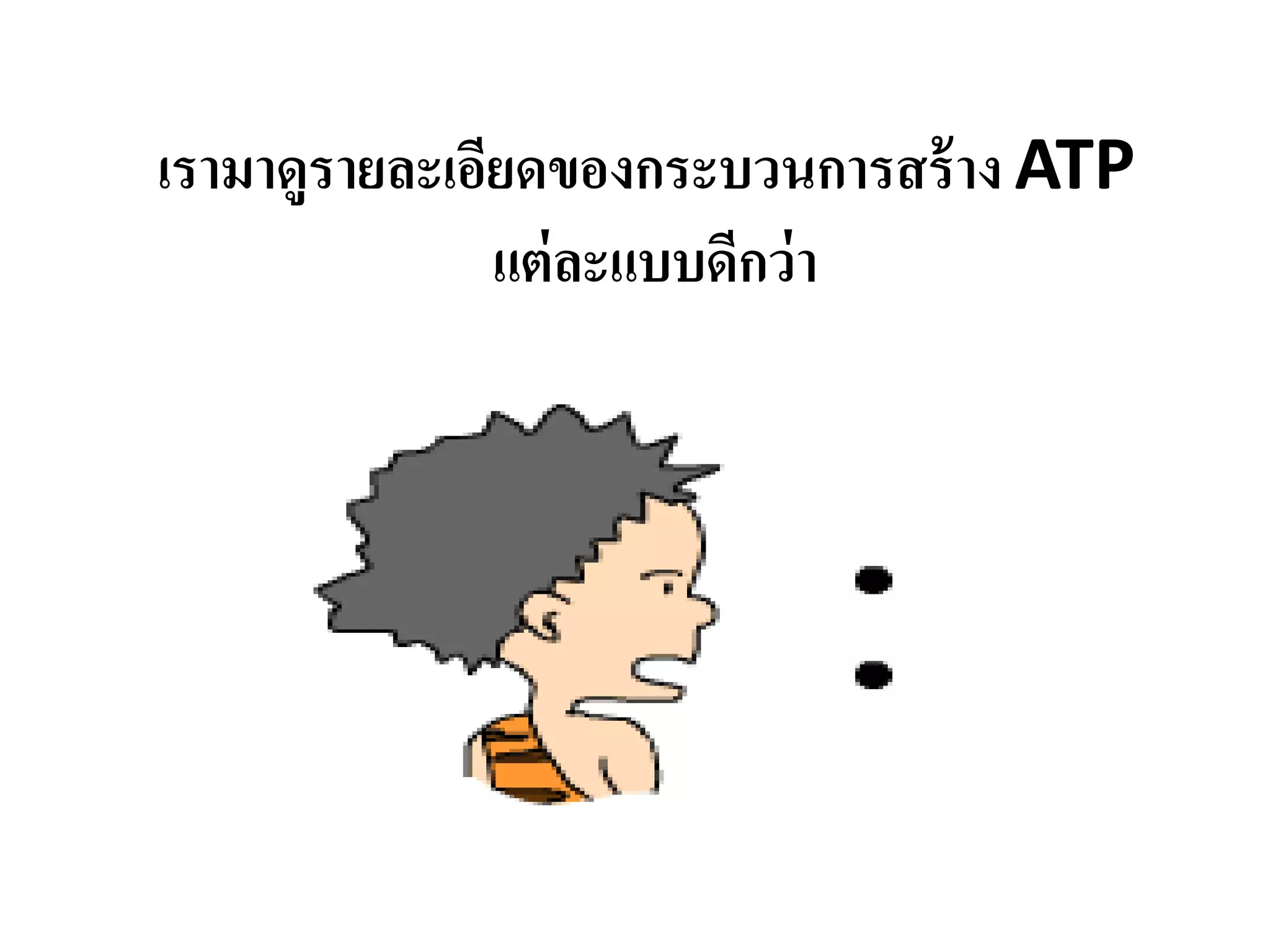 เรามาดูรายละเอียดของกระบวนการสร้าง ATP
แต่ละแบบดีกว่า
 