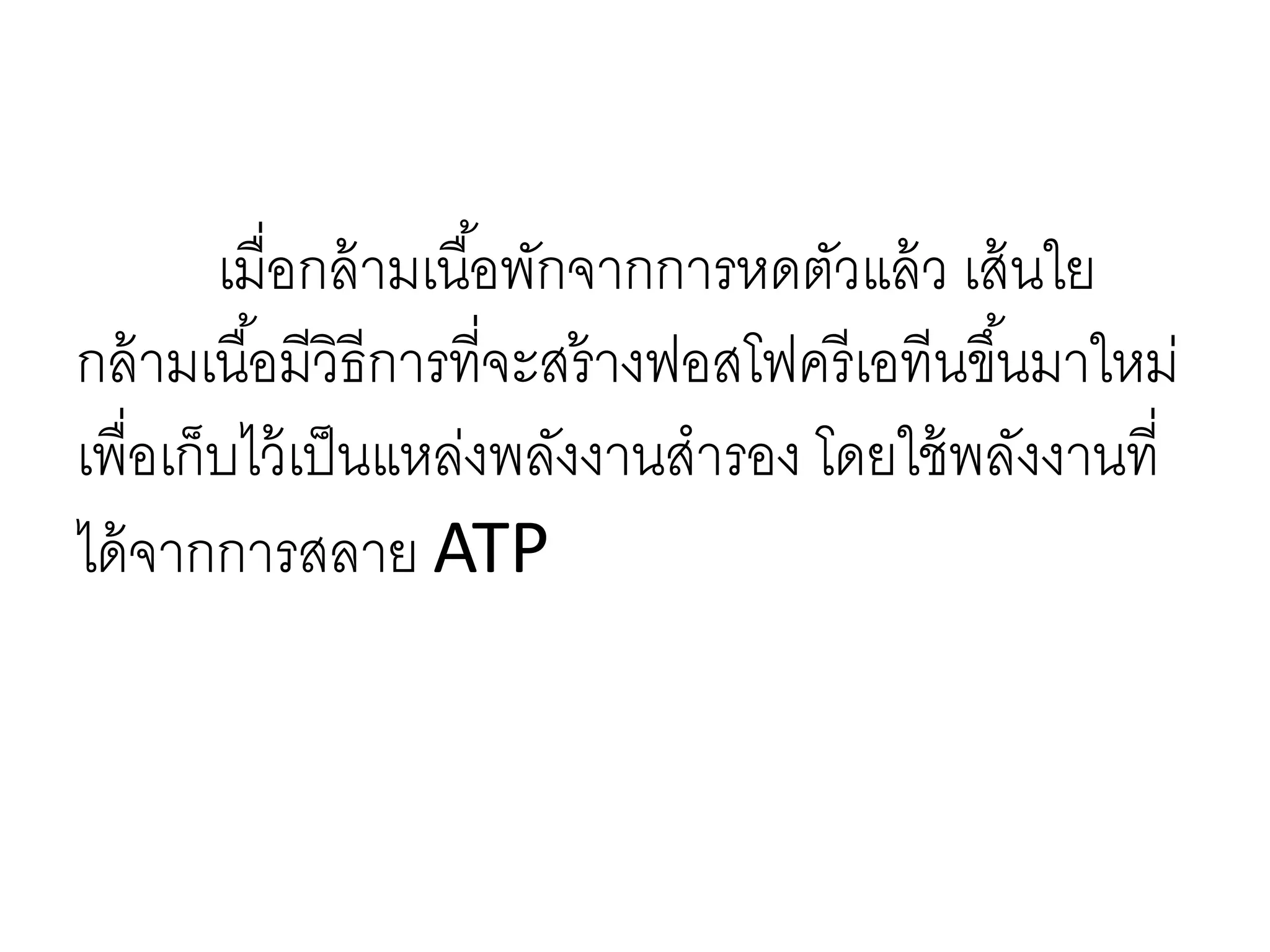 เมื่อกล้ามเนื้อพักจากการหดตัวแล้ว เส้นใย
กล้ามเนื้อมีวิธีการที่จะสร้างฟอสโฟครีเอทีนขึ้นมาใหม่
เพื่อเก็บไว้เป็นแหล่งพลังงานสารอง โดยใช้พลังงานที่
ได้จากการสลาย ATP
 