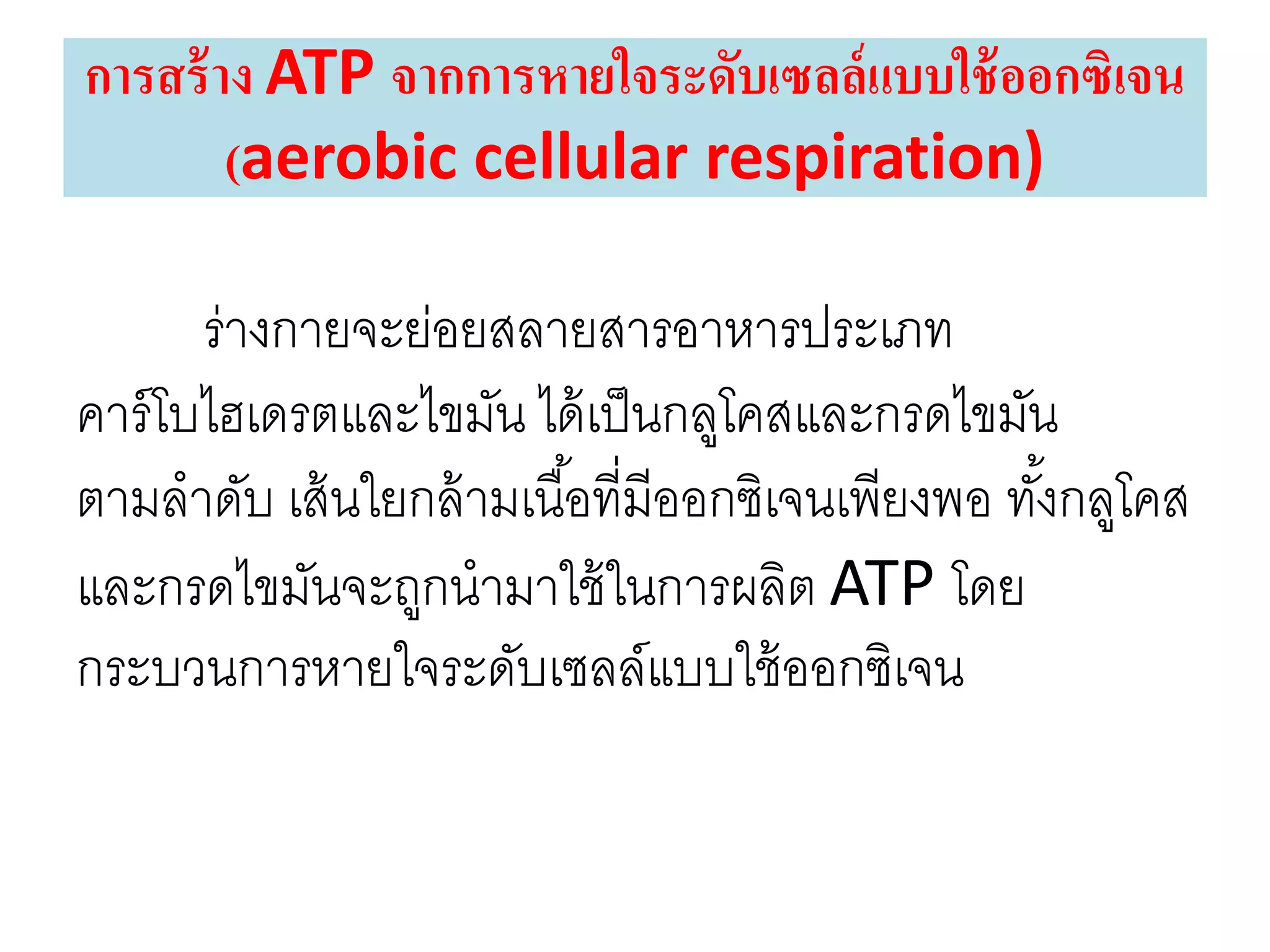 การสร้าง ATP จากการหายใจระดับเซลล์แบบใช้ออกซิเจน
(aerobic cellular respiration)
ร่างกายจะย่อยสลายสารอาหารประเภท
คาร์โบไฮเดรตและไขมัน ได้เป็นกลูโคสและกรดไขมัน
ตามลาดับ เส้นใยกล้ามเนื้อที่มีออกซิเจนเพียงพอ ทั้งกลูโคส
และกรดไขมันจะถูกนามาใช้ในการผลิต ATP โดย
กระบวนการหายใจระดับเซลล์แบบใช้ออกซิเจน
 