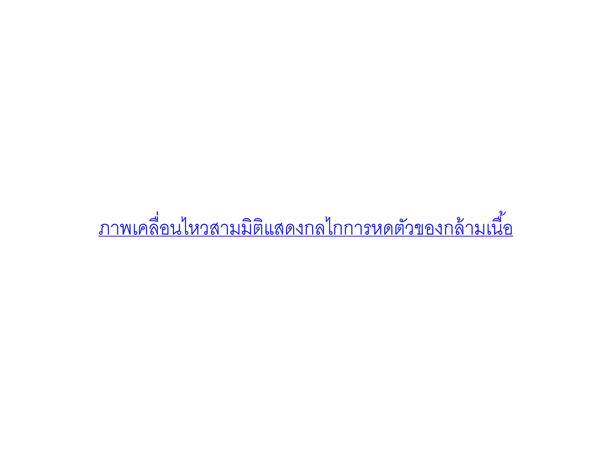 ภาพเคลื่อนไหวสามมิติแสดงกลไกการหดตัวของกล้ามเนื้อ
 
