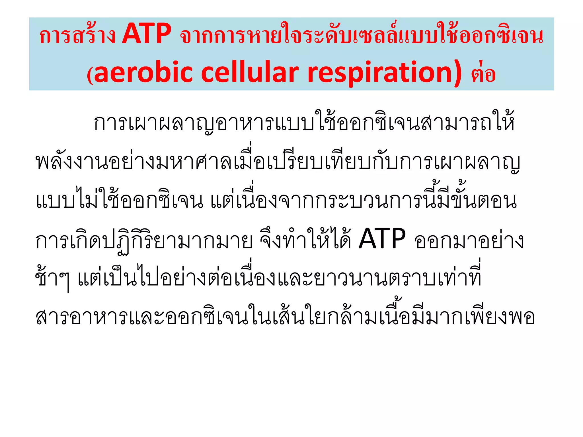 การเผาผลาญอาหารแบบใช้ออกซิเจนสามารถให้
พลังงานอย่างมหาศาลเมื่อเปรียบเทียบกับการเผาผลาญ
แบบไม่ใช้ออกซิเจน แต่เนื่องจากกระบวนการนี้มีขั้นตอน
การเกิดปฏิกิริยามากมาย จึงทาให้ได้ ATP ออกมาอย่าง
ช้าๆ แต่เป็นไปอย่างต่อเนื่องและยาวนานตราบเท่าที่
สารอาหารและออกซิเจนในเส้นใยกล้ามเนื้อมีมากเพียงพอ
การสร้าง ATP จากการหายใจระดับเซลล์แบบใช้ออกซิเจน
(aerobic cellular respiration) ต่อ
 