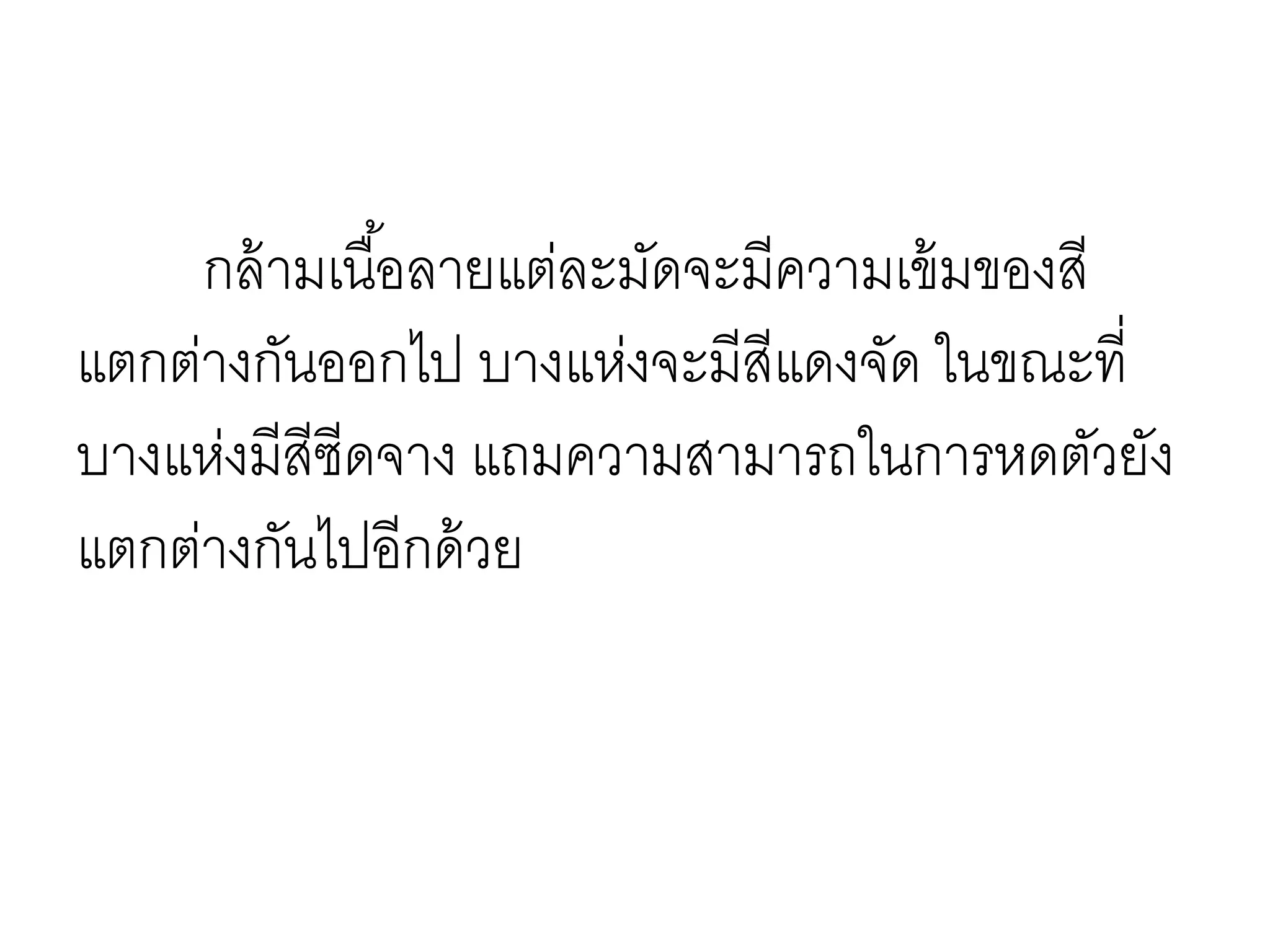 กล้ามเนื้อลายแต่ละมัดจะมีความเข้มของสี
แตกต่างกันออกไป บางแห่งจะมีสีแดงจัด ในขณะที่
บางแห่งมีสีซีดจาง แถมความสามารถในการหดตัวยัง
แตกต่างกันไปอีกด้วย
 