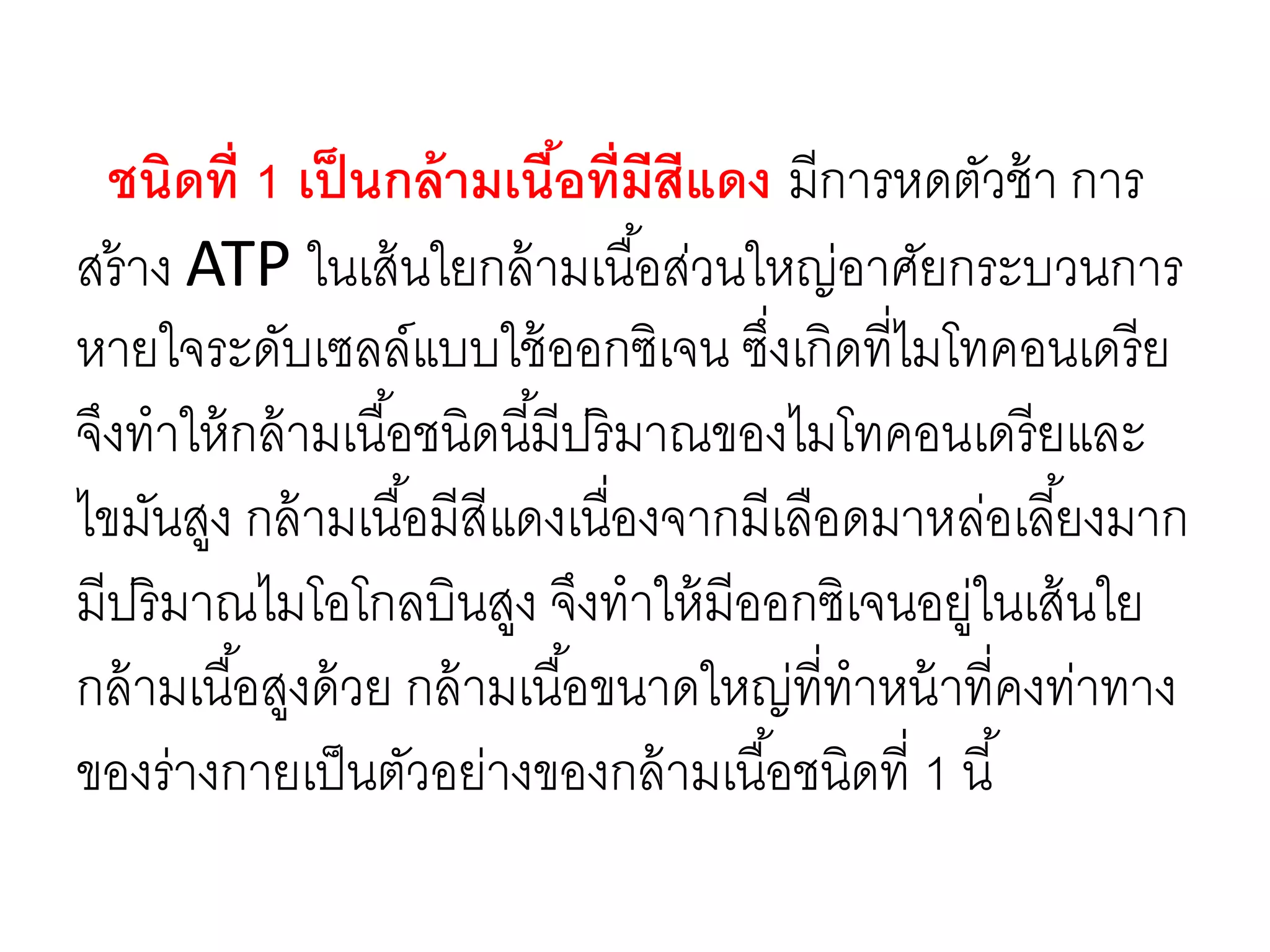 ชนิดที่ 1 เป็นกล้ามเนื้อที่มีสีแดง มีการหดตัวช้า การ
สร้าง ATP ในเส้นใยกล้ามเนื้อส่วนใหญ่อาศัยกระบวนการ
หายใจระดับเซลล์แบบใช้ออกซิเจน ซึ่งเกิดที่ไมโทคอนเดรีย
จึงทาให้กล้ามเนื้อชนิดนี้มีปริมาณของไมโทคอนเดรียและ
ไขมันสูง กล้ามเนื้อมีสีแดงเนื่องจากมีเลือดมาหล่อเลี้ยงมาก
มีปริมาณไมโอโกลบินสูง จึงทาให้มีออกซิเจนอยู่ในเส้นใย
กล้ามเนื้อสูงด้วย กล้ามเนื้อขนาดใหญ่ที่ทาหน้าที่คงท่าทาง
ของร่างกายเป็นตัวอย่างของกล้ามเนื้อชนิดที่ 1 นี้
 