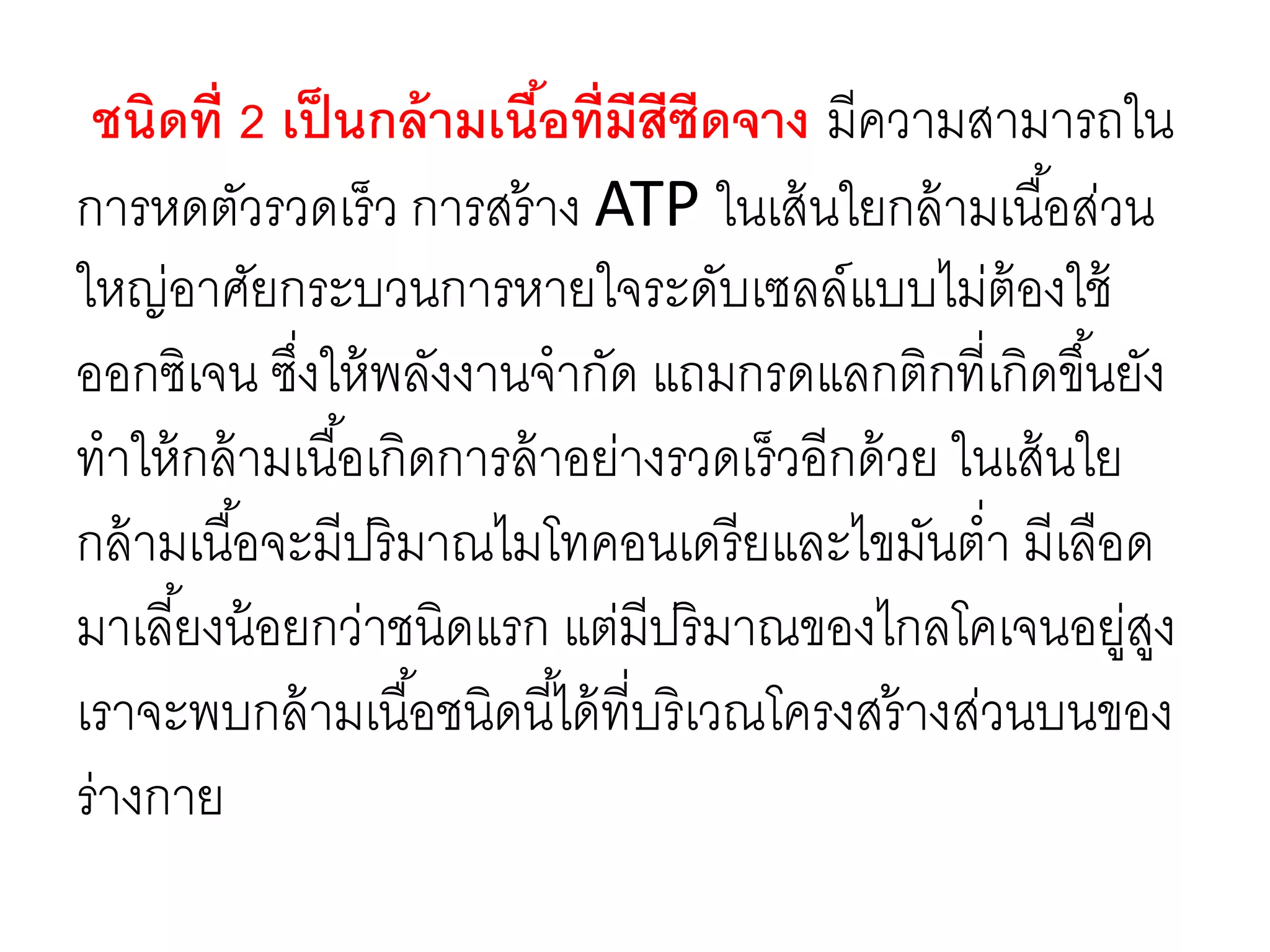 ชนิดที่ 2 เป็นกล้ามเนื้อที่มีสีซีดจาง มีความสามารถใน
การหดตัวรวดเร็ว การสร้าง ATP ในเส้นใยกล้ามเนื้อส่วน
ใหญ่อาศัยกระบวนการหายใจระดับเซลล์แบบไม่ต้องใช้
ออกซิเจน ซึ่งให้พลังงานจากัด แถมกรดแลกติกที่เกิดขึ้นยัง
ทาให้กล้ามเนื้อเกิดการล้าอย่างรวดเร็วอีกด้วย ในเส้นใย
กล้ามเนื้อจะมีปริมาณไมโทคอนเดรียและไขมันต่า มีเลือด
มาเลี้ยงน้อยกว่าชนิดแรก แต่มีปริมาณของไกลโคเจนอยู่สูง
เราจะพบกล้ามเนื้อชนิดนี้ได้ที่บริเวณโครงสร้างส่วนบนของ
ร่างกาย
 