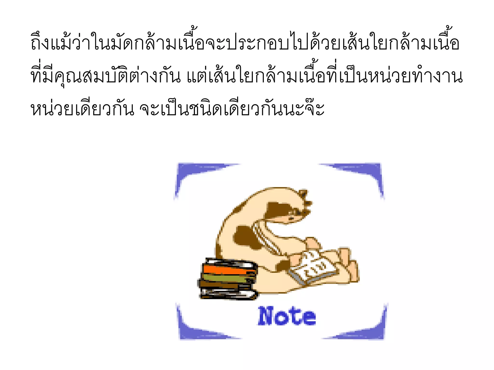 ถึงแม้ว่าในมัดกล้ามเนื้อจะประกอบไปด้วยเส้นใยกล้ามเนื้อ
ที่มีคุณสมบัติต่างกัน แต่เส้นใยกล้ามเนื้อที่เป็นหน่วยทางาน
หน่วยเดียวกัน จะเป็นชนิดเดียวกันนะจ๊ะ
 