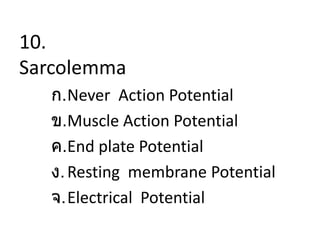 10.
Sarcolemma
ก.Never Action Potential
ข.Muscle Action Potential
ค.End plate Potential
ง.Resting membrane Potential
จ.Electrical Potential
 