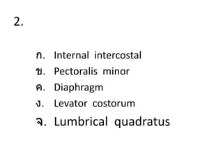 2.
ก. Internal intercostal
ข. Pectoralis minor
ค. Diaphragm
ง. Levator costorum
จ. Lumbrical quadratus
 