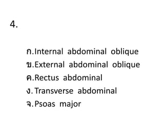 4.
ก.Internal abdominal oblique
ข.External abdominal oblique
ค.Rectus abdominal
ง.Transverse abdominal
จ.Psoas major
 