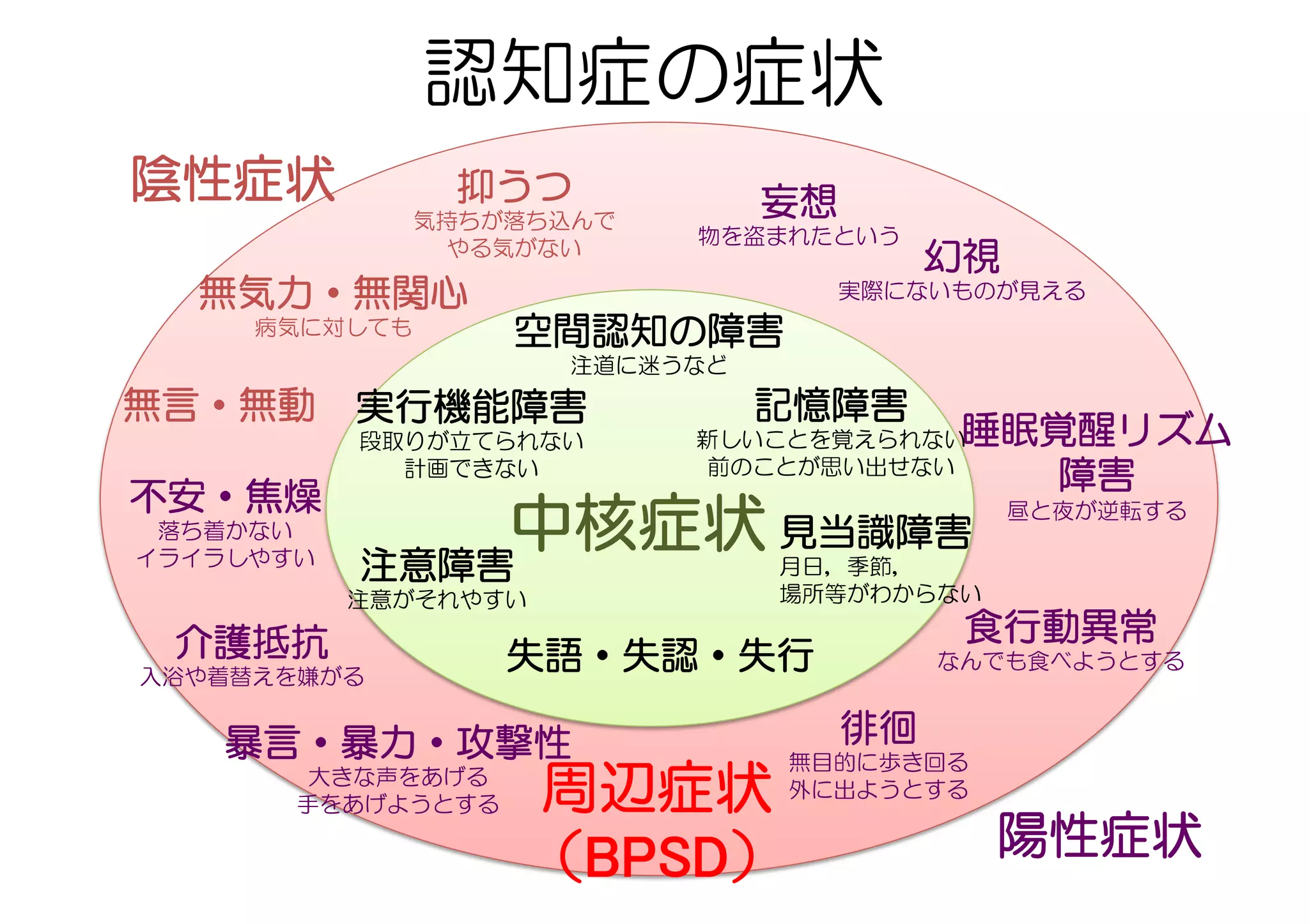 周辺症状	
（BPSD）
妄想
物を盗まれたという
抑うつ
気持ちが落ち込んで
やる気がない
不安・焦燥
落ち着かない
イライラしやすい
睡眠覚醒リズム
障害
昼と夜が逆転する
徘徊
無目的に歩き回る
外に出ようとする
暴言・暴力・攻撃性
大きな声をあげる
手をあげようとする
介護抵抗
入浴や着替えを嫌がる
食行動異常
なんでも食べようとする
幻視
実際にないものが見える無気力・無関心
病気に対しても
無言・無動
陰性症状
陽性症状
中核症状
記憶障害
新しいことを覚えられない
前のことが思い出せない
実行機能障害
段取りが立てられない
計画できない
失語・失認・失行	
認知症の症状
見当識障害
月日，季節，
場所等がわからない
注意障害
注意がそれやすい
空間認知の障害	
注道に迷うなど
 