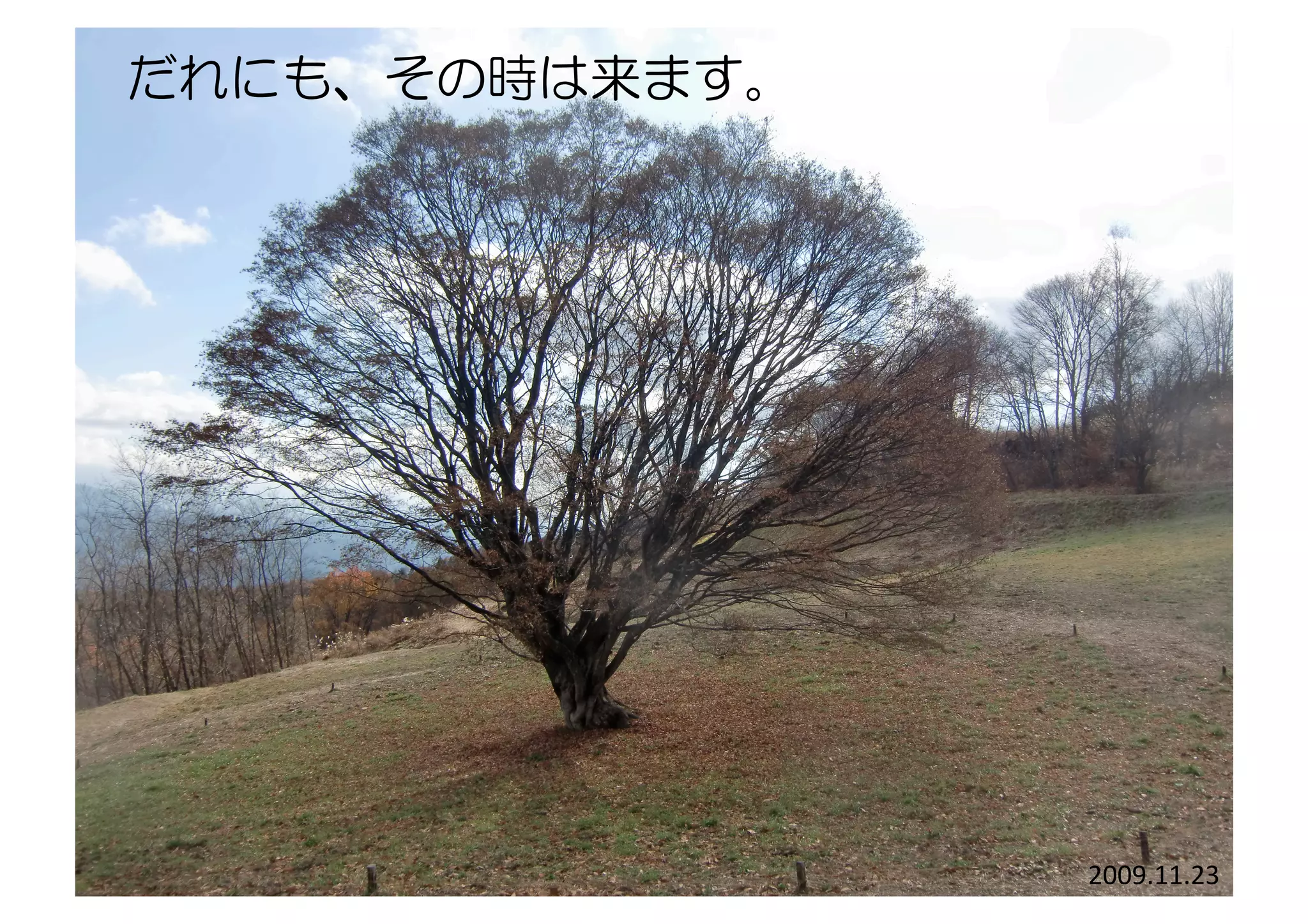 2009.11.23	
だれにも、その時は来ます。
 