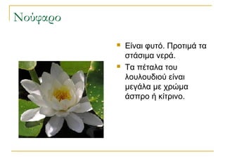 πάρτυ στη λάσπη" | PPT