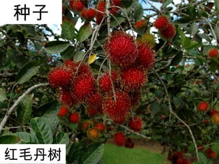 
ë
 