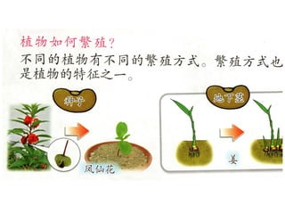 植物的繁殖方式