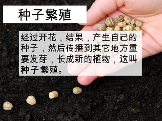 Լ
ӣȻ󴫲ط
Ҫѿµֲ
ӷֳ
ӷֳ
 