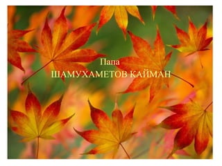 Папа
ШАМУХАМЕТОВ КАЙМАН
 