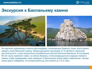 Экскурсия к Бакланьему камню
www.baikalov.ru
На картинах художников и многих фотографиях, посвященных Байкалу, очень часто можно
увидеть скалу Бакланий камень. Возвышающаяся над водой на 15 метров и лишенная
растительности, скала всегда была излюбленным местом обитания бакланов. В последние
50 лет скалу населяли чайки, но сейчас бакланы стали возвращаться в родную стихию и
камень снова оправдывает свое название. К Бакланьему камню ведет живописная лесная
тропа вдоль побережья, по которой дойти до него можно за 1,5–2 часа.
 