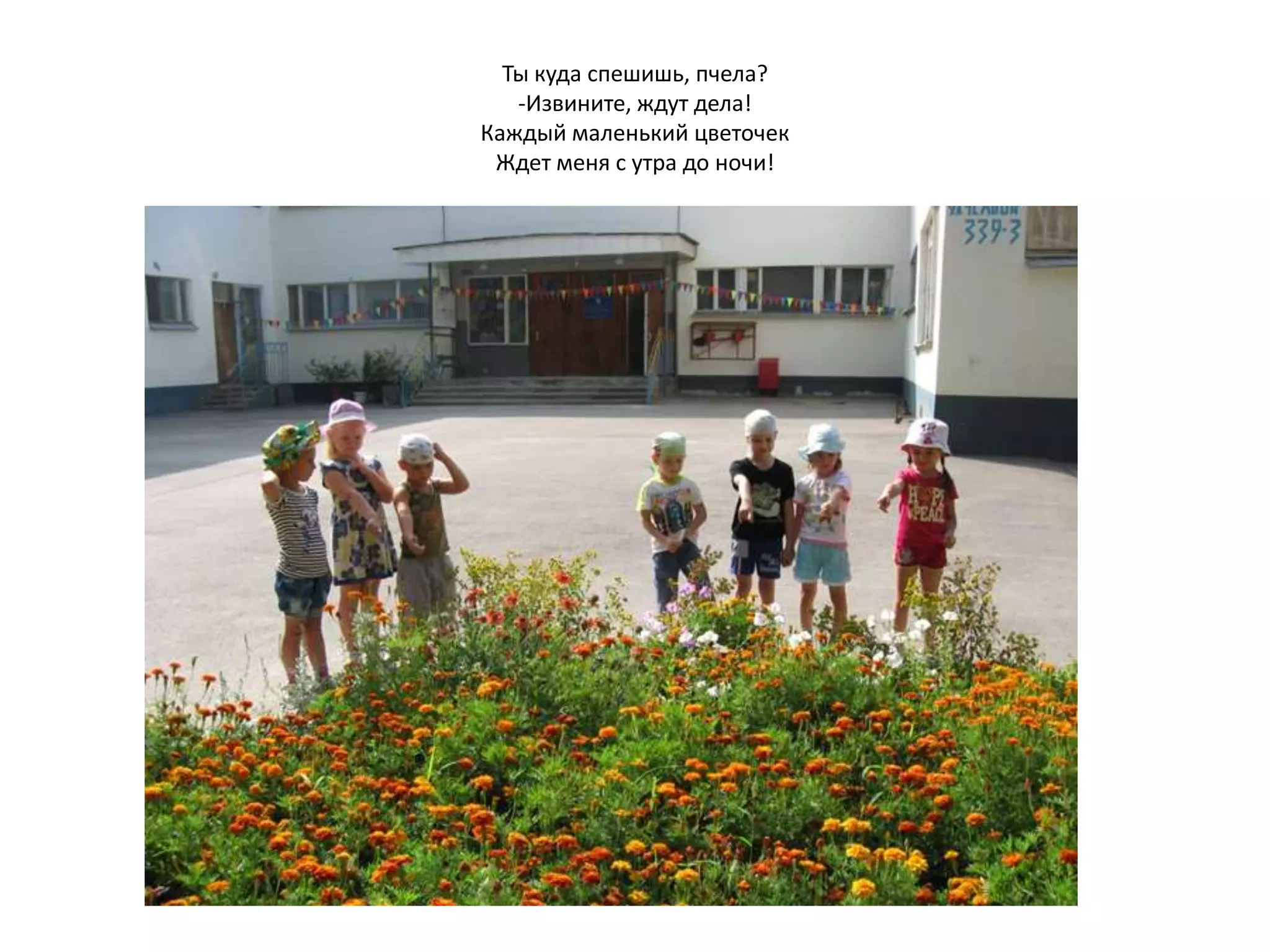 Ты куда спешишь, пчела?
-Извините, ждут дела!
Каждый маленький цветочек
Ждет меня с утра до ночи!
 