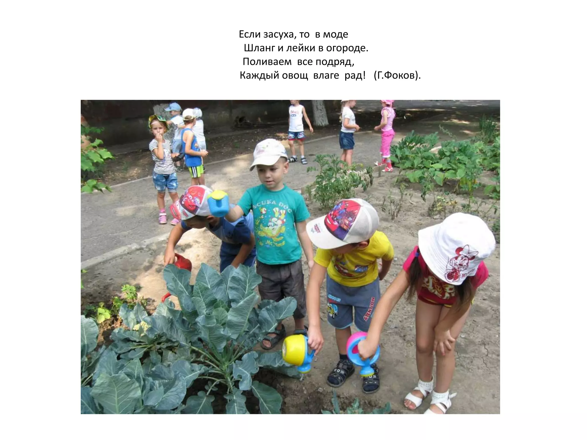 Если засуха, то в моде
Шланг и лейки в огороде.
Поливаем все подряд,
Каждый овощ влаге рад! (Г.Фоков).
 