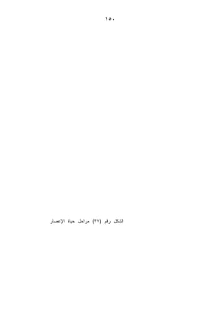 V
#:J;?-L *
 
