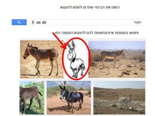 שיתופית  allof