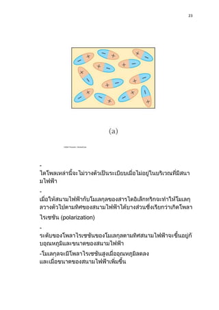 23
-
-
polarization)
-
-
 
