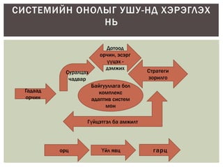 системийн онол | PPT