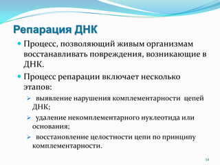 Репарация ДНК
 Процесс, позволяющий живым организмам
восстанавливать повреждения, возникающие в
ДНК.
 Процесс репарации включает несколько
этапов:
 выявление нарушения комплементарности цепей
ДНК;
 удаление некомплементарного нуклеотида или
основания;
 восстановление целостности цепи по принципу
комплементарности.
14
 