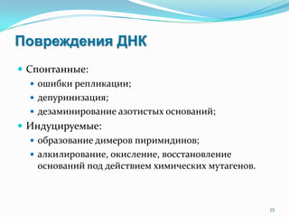 Повреждения ДНК
 Спонтанные:
 ошибки репликации;
 депуринизация;
 дезаминирование азотистых оснований;
 Индуцируемые:
 образование димеров пиримидинов;
 алкилирование, окисление, восстановление
оснований под действием химических мутагенов.
15
 