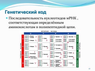 Генетический код
 Последовательность нуклеотидов мРНК ,
соответствующая определённым
аминокислотам в полипептидной цепи.
22
 