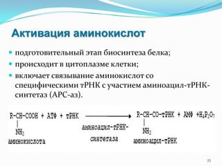 Активация аминокислот
 подготовительный этап биосинтеза белка;
 происходит в цитоплазме клетки;
 включает связывание аминокислот со
специфическими тРНК с участием аминоацил-тРНК-
синтетаз (АРС-аз).
25
 