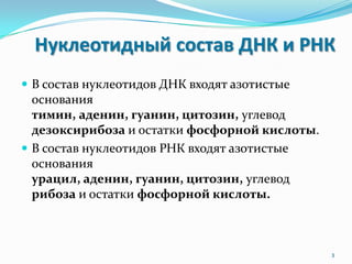 Нуклеотидный состав ДНК и РНК
 В состав нуклеотидов ДНК входят азотистые
основания
тимин, аденин, гуанин, цитозин, углевод
дезоксирибоза и остатки фосфорной кислоты.
 В состав нуклеотидов РНК входят азотистые
основания
урацил, аденин, гуанин, цитозин, углевод
рибоза и остатки фосфорной кислоты.
3
 