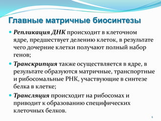 Главные матричные биосинтезы
 Репликация ДНК происходит в клеточном
ядре, предшествует делению клеток, в результате
чего дочерние клетки получают полный набор
генов;
 Транскрипция также осуществляется в ядре, в
результате образуются матричные, транспортные
и рибосомальные РНК, участвующие в синтезе
белка в клетке;
 Трансляция происходит на рибосомах и
приводит к образованию специфических
клеточных белков.
6
 