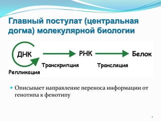 Главный постулат (центральная
догма) молекулярной биологии
 Описывает направление переноса информации от
генотипа к фенотипу
7
 