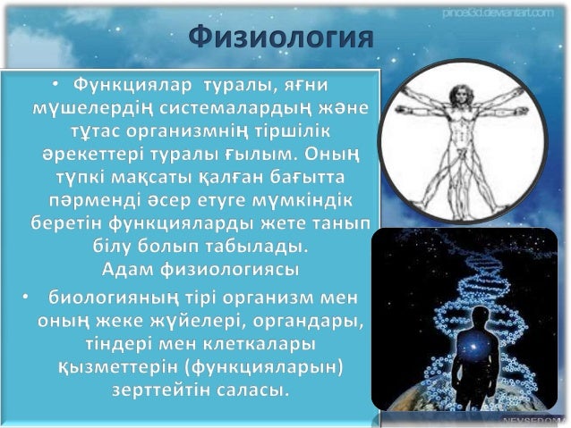 pdf Science and