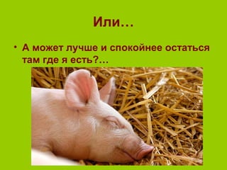 Или…
• А может лучше и спокойнее остаться
там где я есть?…
 