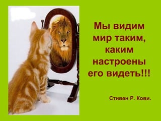 Мы видим
мир таким,
каким
настроены
его видеть!!!
Стивен Р. Кови.
 