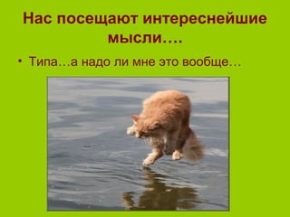 Нас посещают интереснейшие
мысли….
• Типа…а надо ли мне это вообще…
 