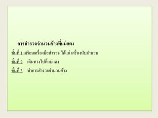 การสารวจจานวนช้างที่แม่แตง
ขั้นที่ 1 เตรียมเครื่องมือสารวจ ได้แก่ เครื่องนับจานวน
ขั้นที่ 2 เดินทางไปที่แม่แตง
ขั้นที่ 3 ทาการสารวจจานวนช้าง
 
