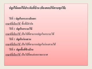 ปลูกไม้ดอกไม้ประดับที่บ้าน (ต้องตอบให้ครบทุกวิธี)
วิธีที่ 1 ปลูกในกระถางดินเผา
เกณฑ์ที่เลือกใช้ พื้นที่มีจากัด
วิธีที่ 2 ปลูกในกระบะไม้
เกณฑ์ที่เลือกใช้ เป็นไม้ที่สามารถปลูกในกระบะได้
วิธีที่ 3 ปลูกในร่องสวน
เกณฑ์ที่เลือกใช้ เป็นไม้ที่สามารถปลูกในร่องสวนได้
วิธีที่ 4 ปลูกพื้นที่ข้างบ้าน
เกณฑ์ที่เลือกใช้ เป็นไม้ที่ทนต่อสภาพอากาศ
 