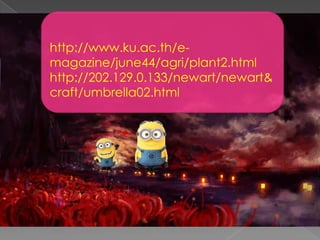 http://www.ku.ac.th/e-
magazine/june44/agri/plant2.html
http://202.129.0.133/newart/newart&
craft/umbrella02.html
 