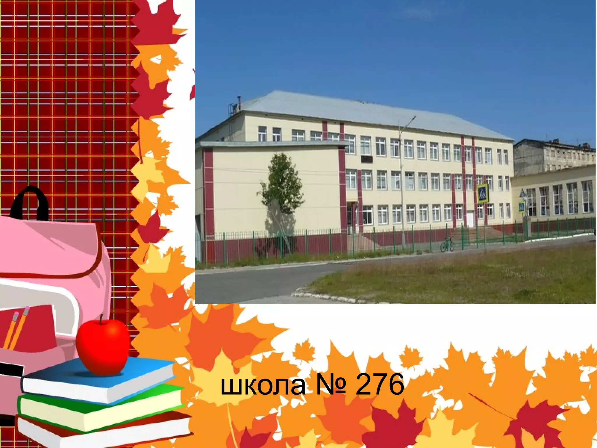 школа № 276
 