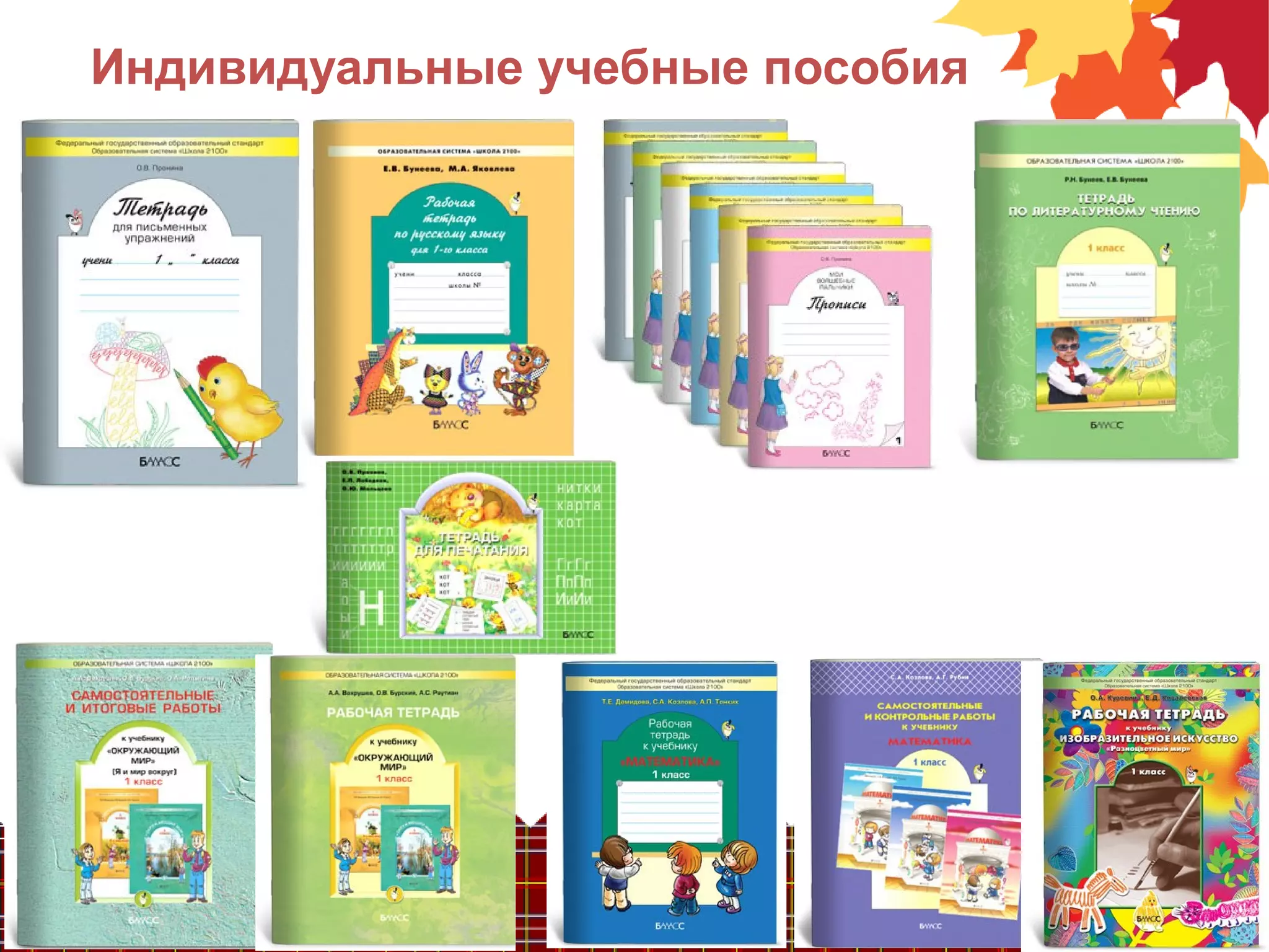 Индивидуальные учебные пособия
 