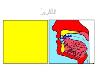 التجويد المصور للشيخ أيمن السويد