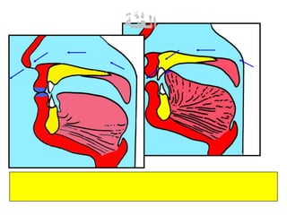 التجويد المصور للشيخ أيمن السويد