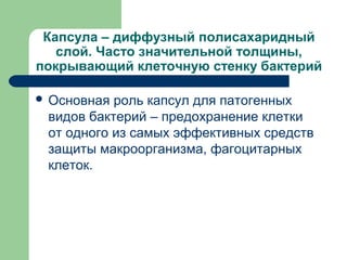 Капсула – диффузный полисахаридный
слой. Часто значительной толщины,
покрывающий клеточную стенку бактерий
 Основная роль капсул для патогенных
видов бактерий – предохранение клетки
от одного из самых эффективных средств
защиты макроорганизма, фагоцитарных
клеток.
 