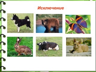 Исключение
 