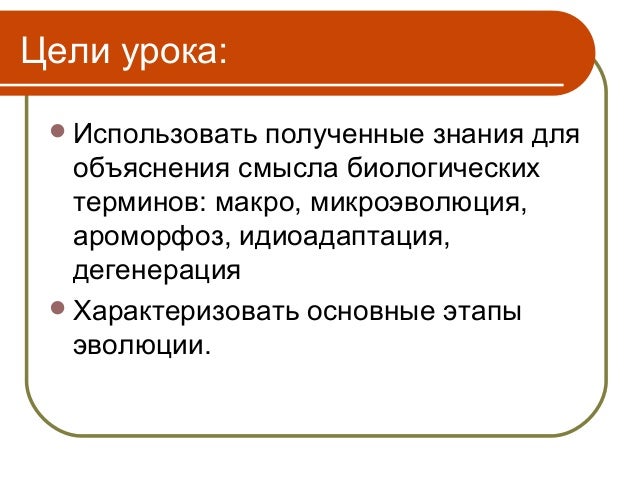 ebook